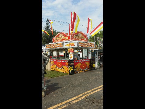 bloomingonion